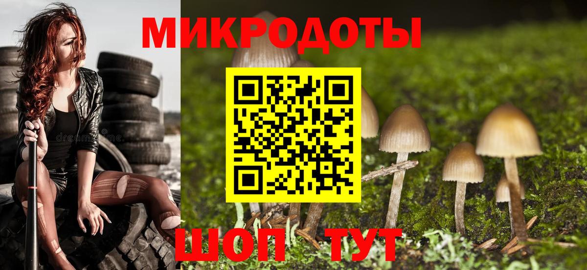 Псилоцибиновые грибы Psilocybe  Вход с VPN  Электросталь 